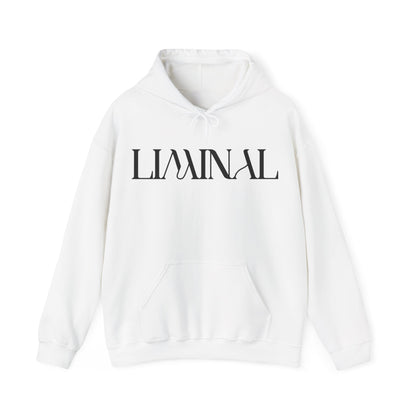 liminal hoodie.