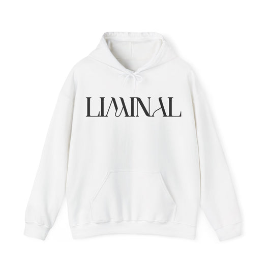 liminal hoodie.