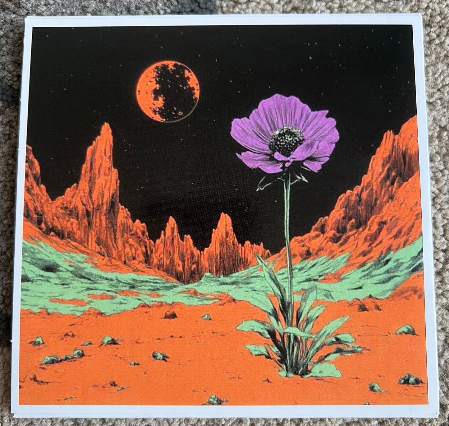 Anomaly CD